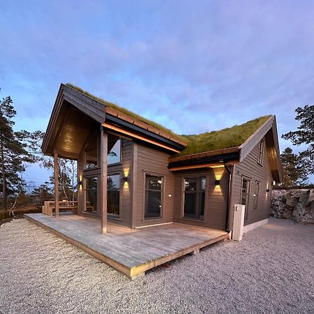 Modern Northern Lights Cabin Drangedal Exteriér fotografie