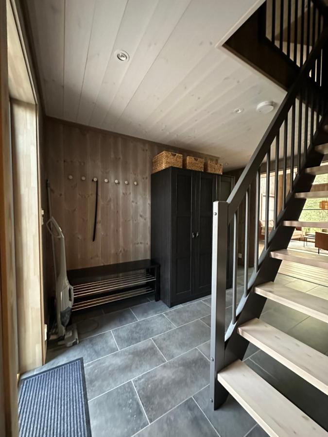 Modern Northern Lights Cabin Drangedal Exteriér fotografie
