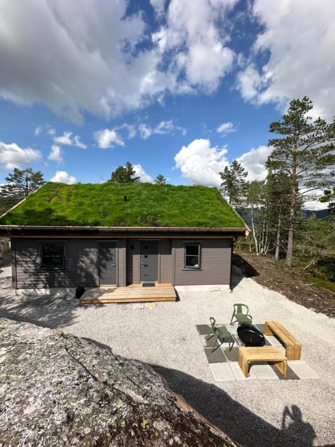 Modern Northern Lights Cabin Drangedal Exteriér fotografie