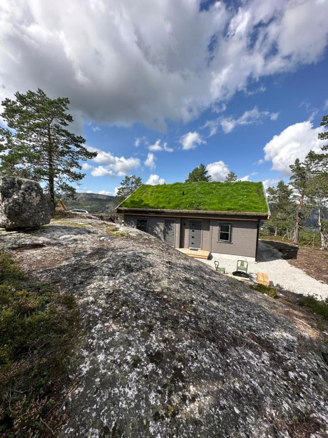 Modern Northern Lights Cabin Drangedal Exteriér fotografie