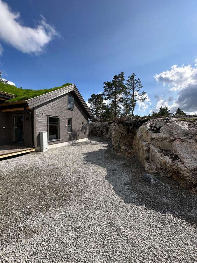 Modern Northern Lights Cabin Drangedal Exteriér fotografie