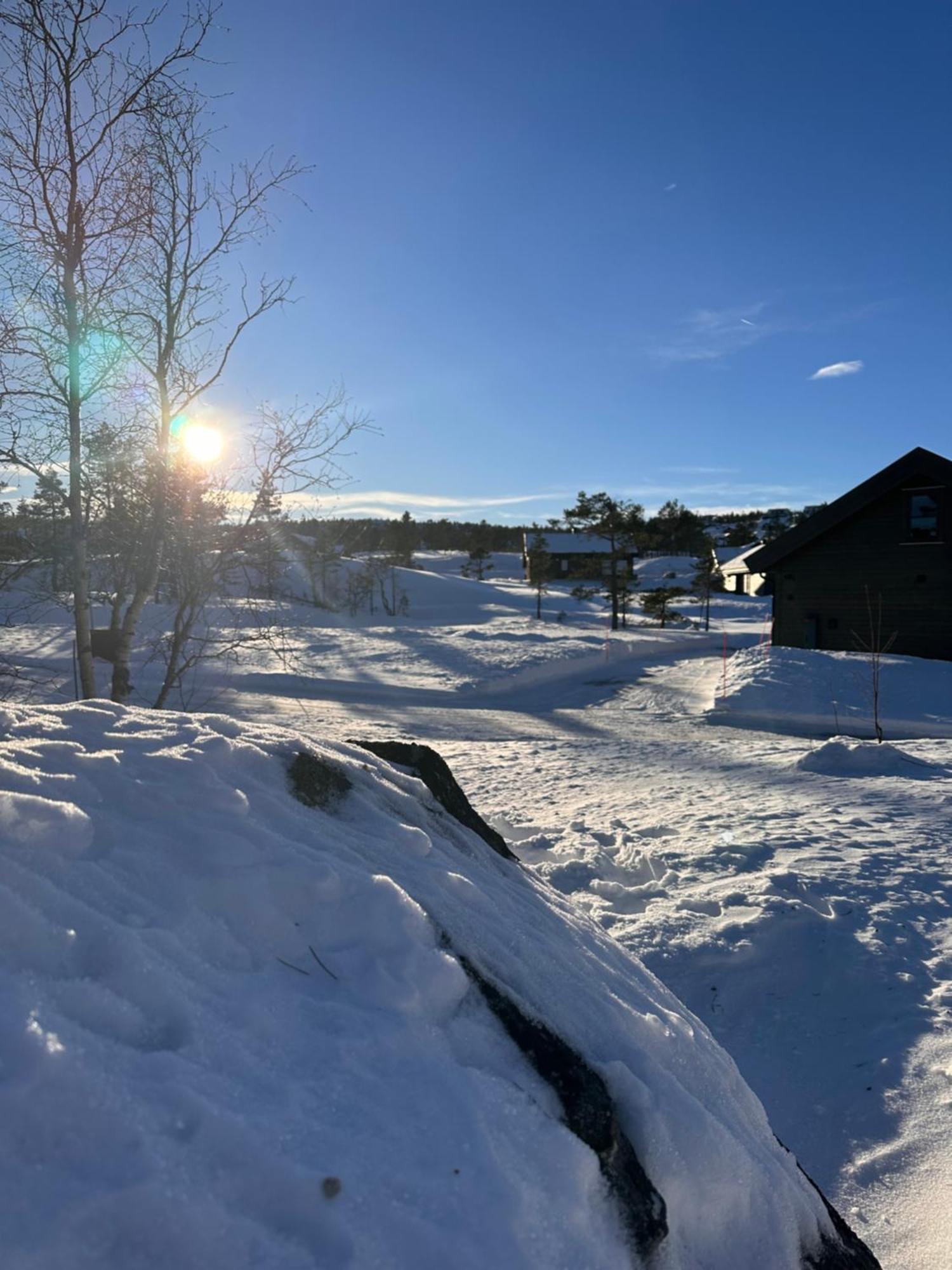 Modern Northern Lights Cabin Drangedal Exteriér fotografie