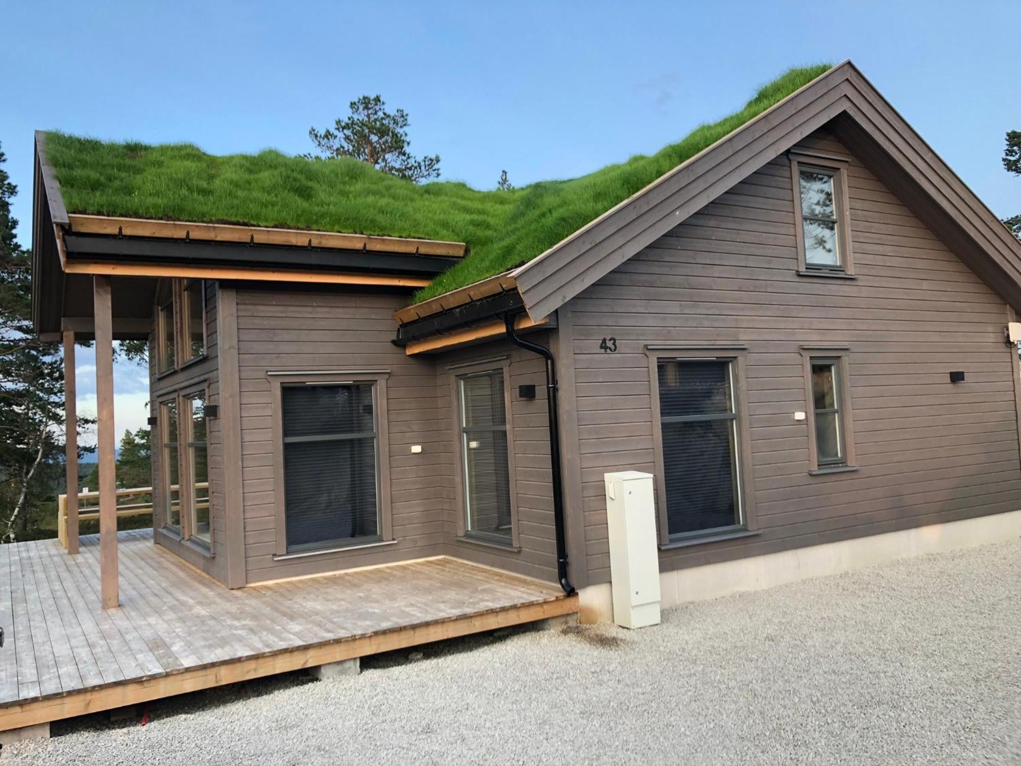 Modern Northern Lights Cabin Drangedal Exteriér fotografie