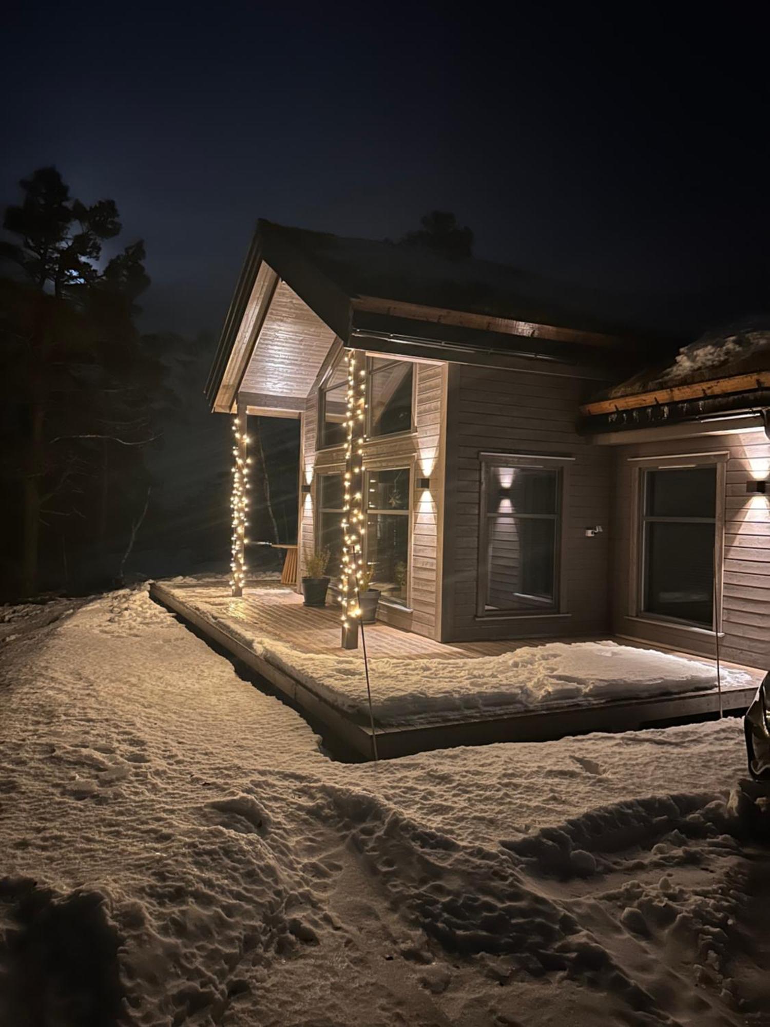 Modern Northern Lights Cabin Drangedal Exteriér fotografie
