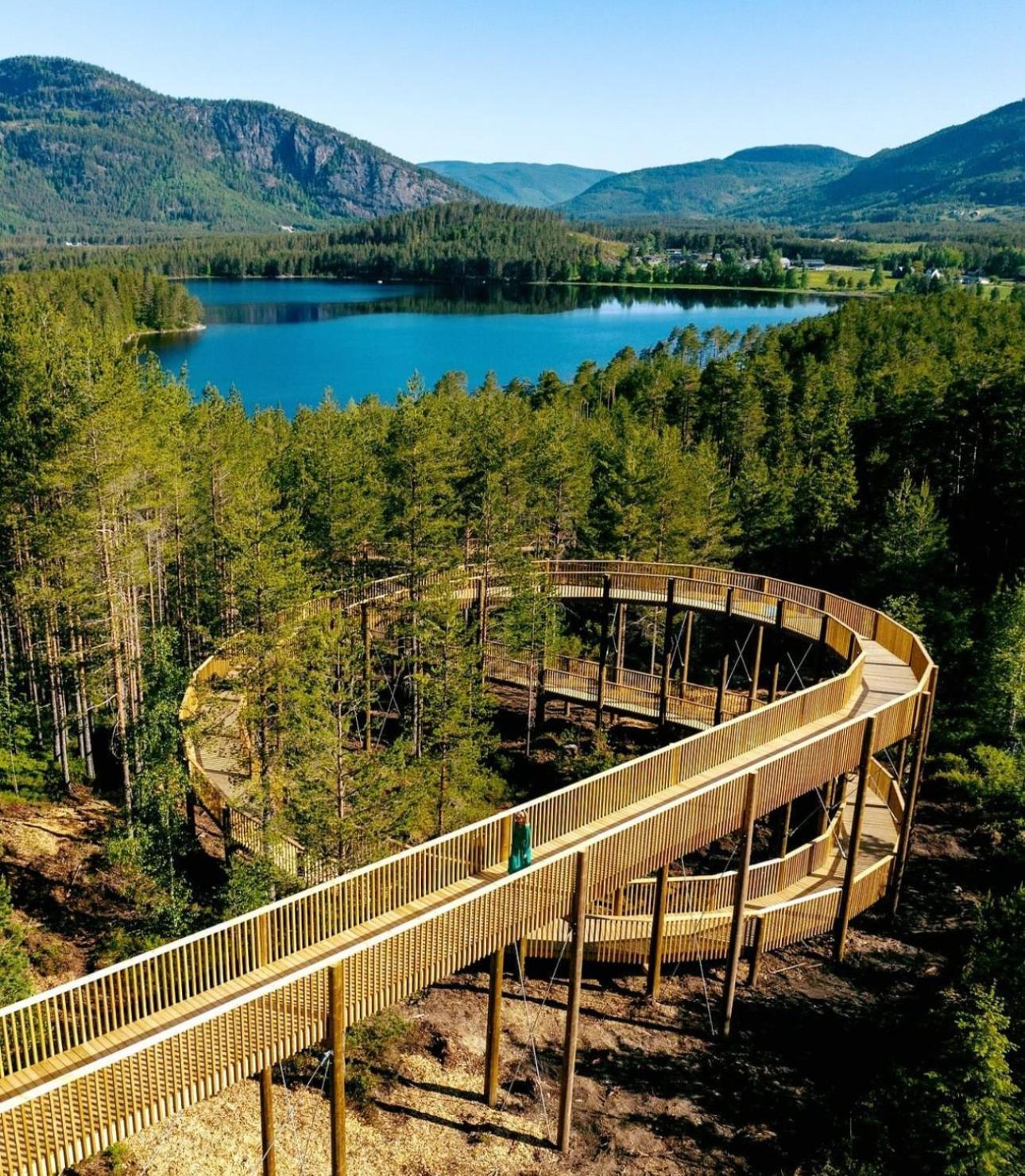 Modern Northern Lights Cabin Drangedal Exteriér fotografie
